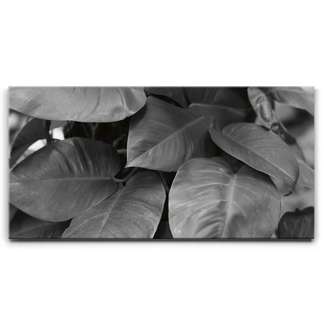 Featured image 1 for Living In The Leaves - Maui, HI