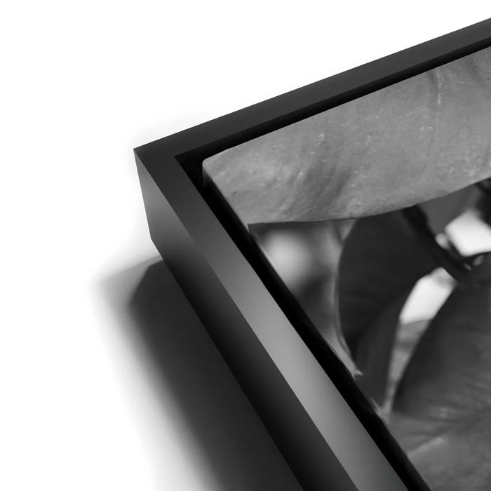 Featured image 11 for Living In The Leaves - Maui, HI