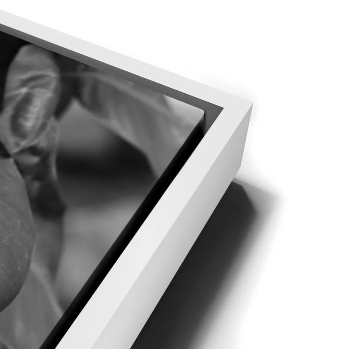 Featured image 14 for Living In The Leaves - Maui, HI