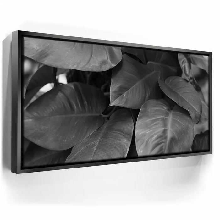 Featured image 5 for Living In The Leaves - Maui, HI