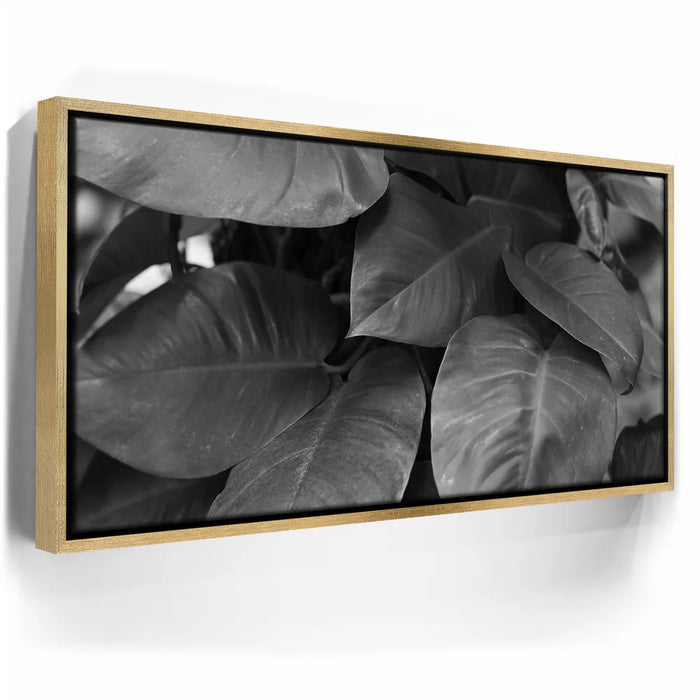 Featured image 7 for Living In The Leaves - Maui, HI