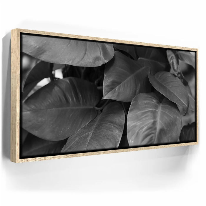 Featured image 9 for Living In The Leaves - Maui, HI