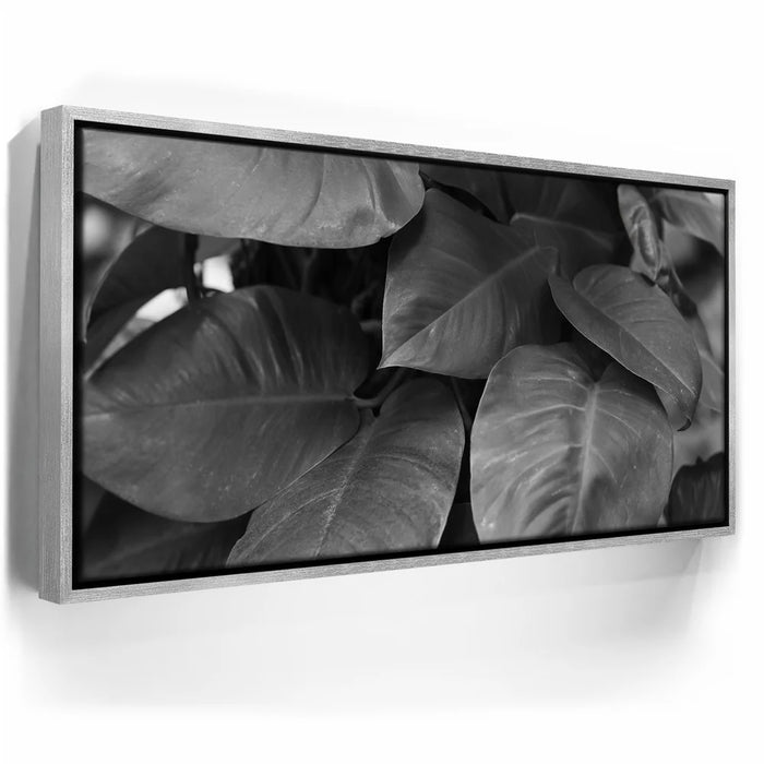 Featured image 8 for Living In The Leaves - Maui, HI