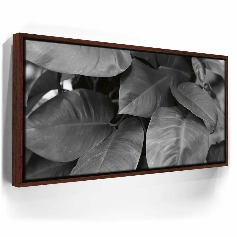 Featured image 10 for Living In The Leaves - Maui, HI