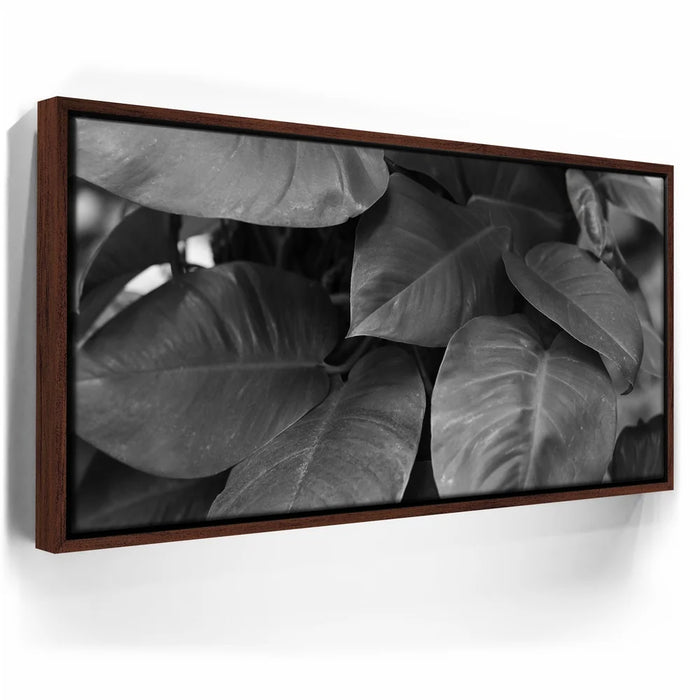 Featured image 10 for Living In The Leaves - Maui, HI