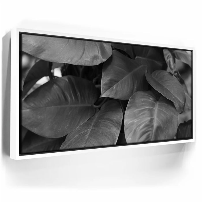 Featured image 6 for Living In The Leaves - Maui, HI