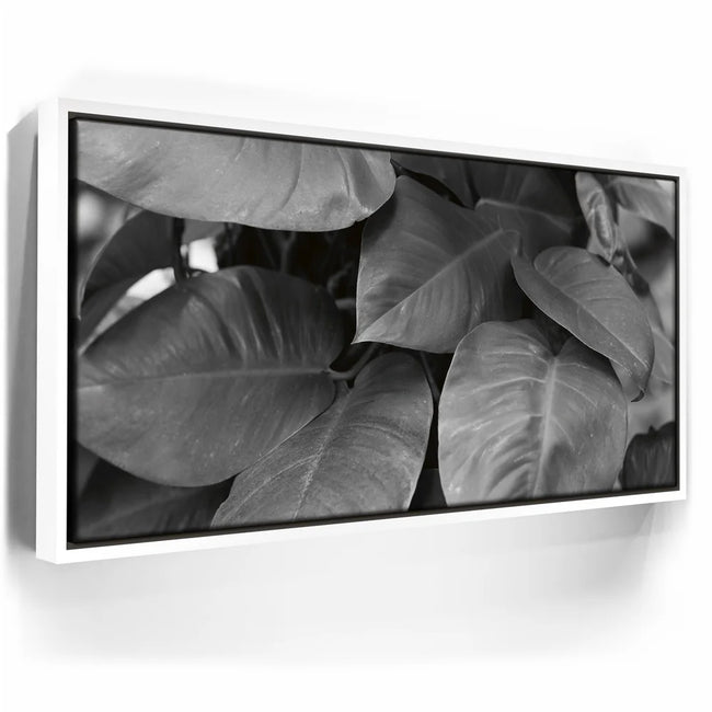 Featured image 6 for Living In The Leaves - Maui, HI