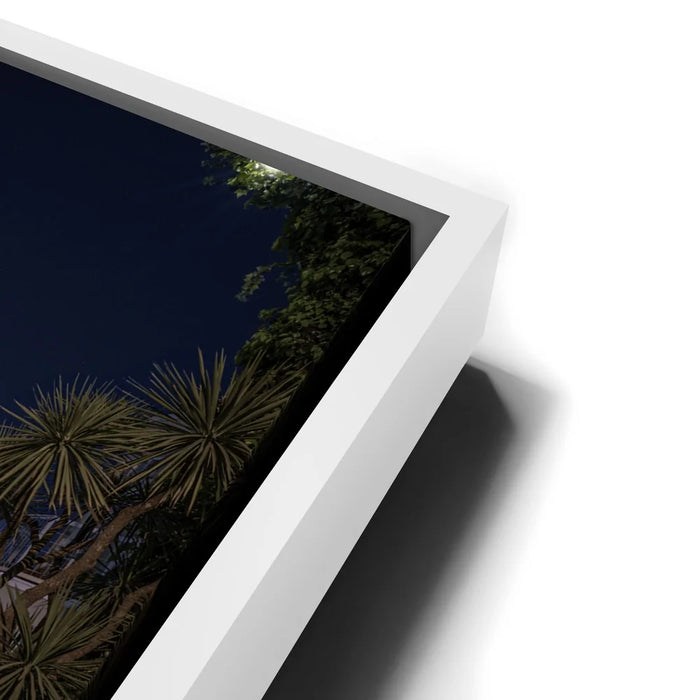 Featured image 13 for Lombard Street Light Trails