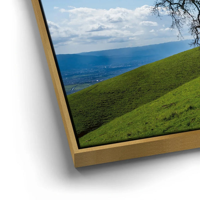 Featured image 12 for Lone Tree Hill