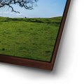 Thumbnail image 14 for Lone Tree Hill