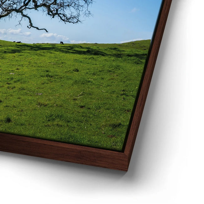 Featured image 14 for Lone Tree Hill