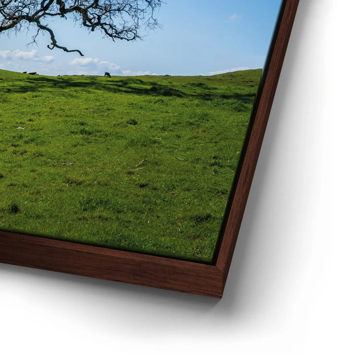 Featured image 14 for Lone Tree Hill