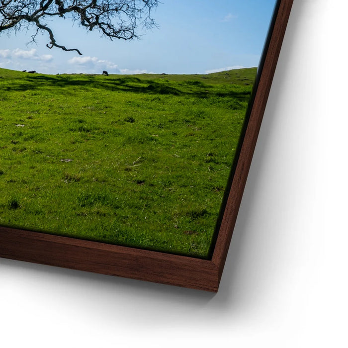 Featured image 14 for Lone Tree Hill