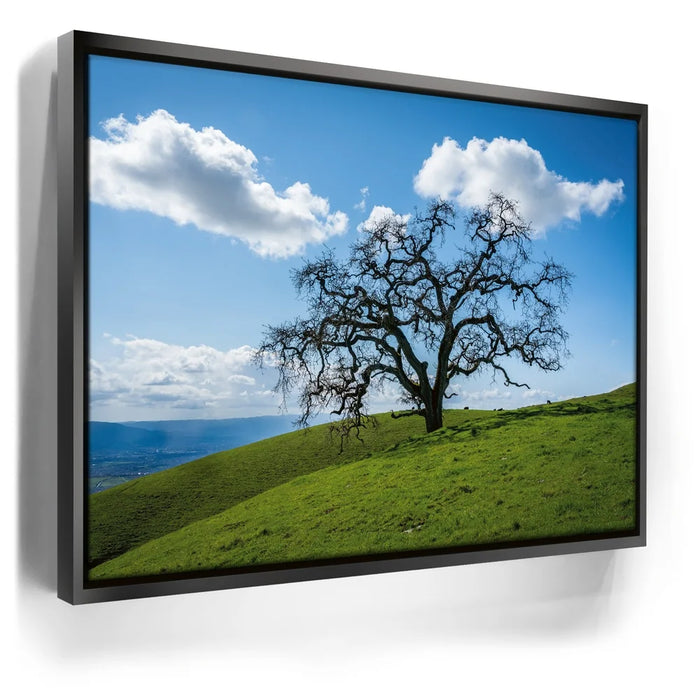 Featured image 5 for Lone Tree Hill