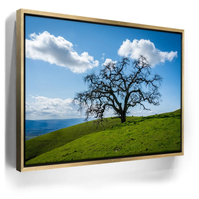 Featured image 7 for Lone Tree Hill