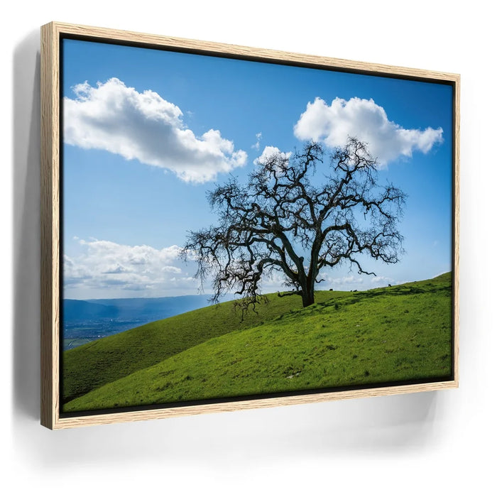 Featured image 9 for Lone Tree Hill