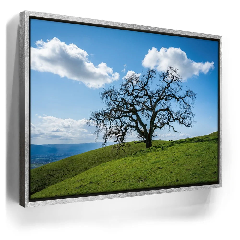 Featured image 8 for Lone Tree Hill