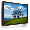 Featured image 10 for Lone Tree Hill