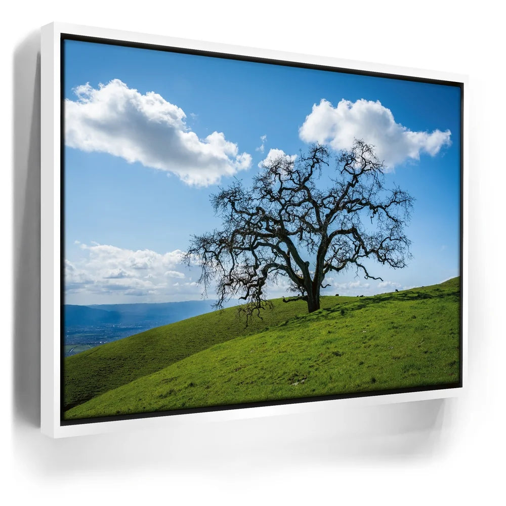 Featured image 6 for Lone Tree Hill