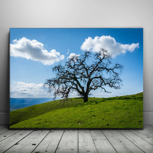 Lone Tree Hill Posters, Prints, & Visual Artwork TheGoatWallArt LANDSCAPE 24x18 0.75" STANDARD