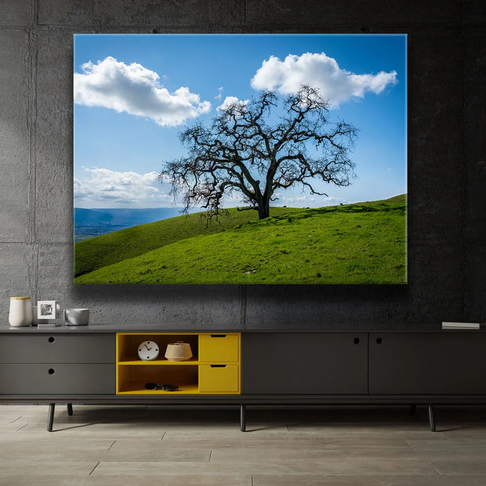 Featured image 2 for Lone Tree Hill