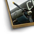 Thumbnail image 12 for Luck Of The Irish C-47 Wolrd War II