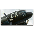 Featured image 1 for Luck Of The Irish C-47 Wolrd War II