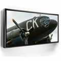 Featured image 5 for Luck Of The Irish C-47 Wolrd War II