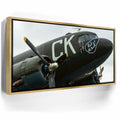 Featured image 7 for Luck Of The Irish C-47 Wolrd War II