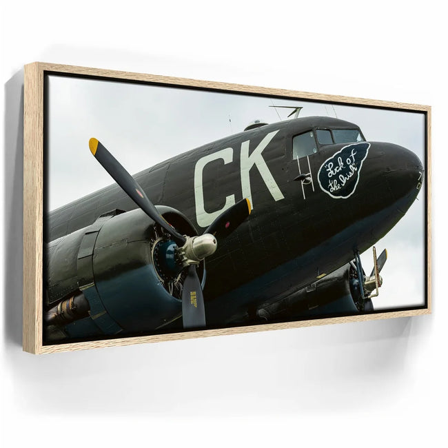 Featured image 9 for Luck Of The Irish C-47 Wolrd War II