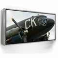 Featured image 8 for Luck Of The Irish C-47 Wolrd War II