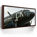 Featured image 10 for Luck Of The Irish C-47 Wolrd War II