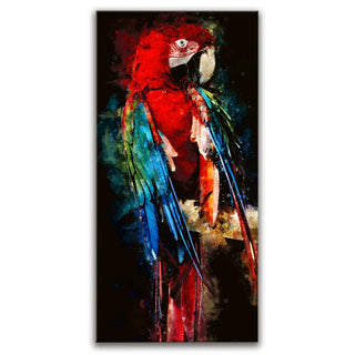 Macaw - Watercolor