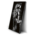 Thumbnail image 2 for Macaw - Watercolor I - Black and White