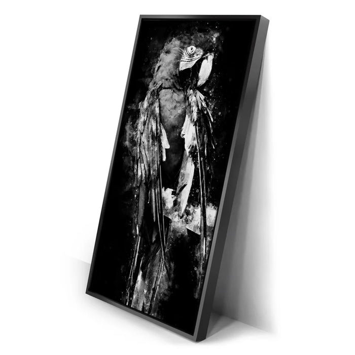 Featured image 2 for Macaw - Watercolor I - Black and White