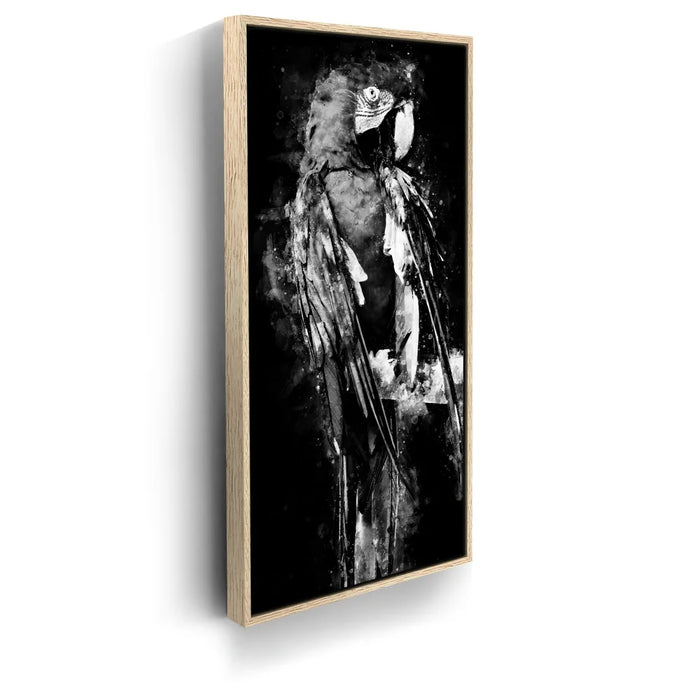 Featured image 9 for Macaw - Watercolor I - Black and White