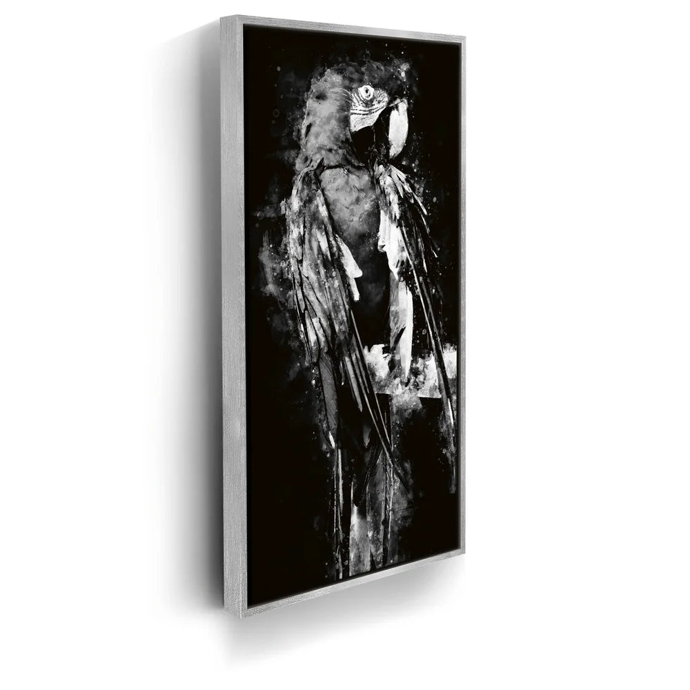 Featured image 8 for Macaw - Watercolor I - Black and White