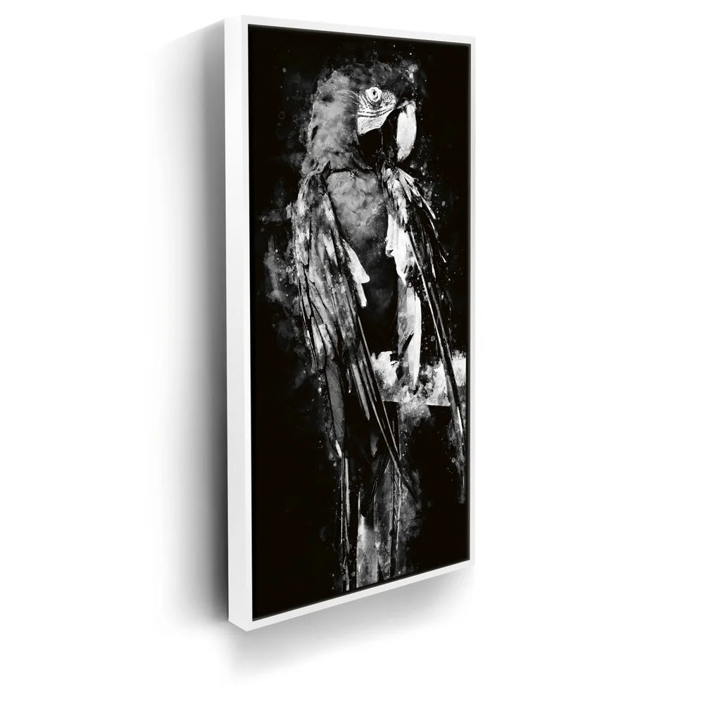 Featured image 6 for Macaw - Watercolor I - Black and White