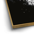 Thumbnail image 12 for Macaw - Watercolor II - Black and White