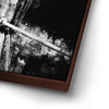 Thumbnail image 14 for Macaw - Watercolor II - Black and White