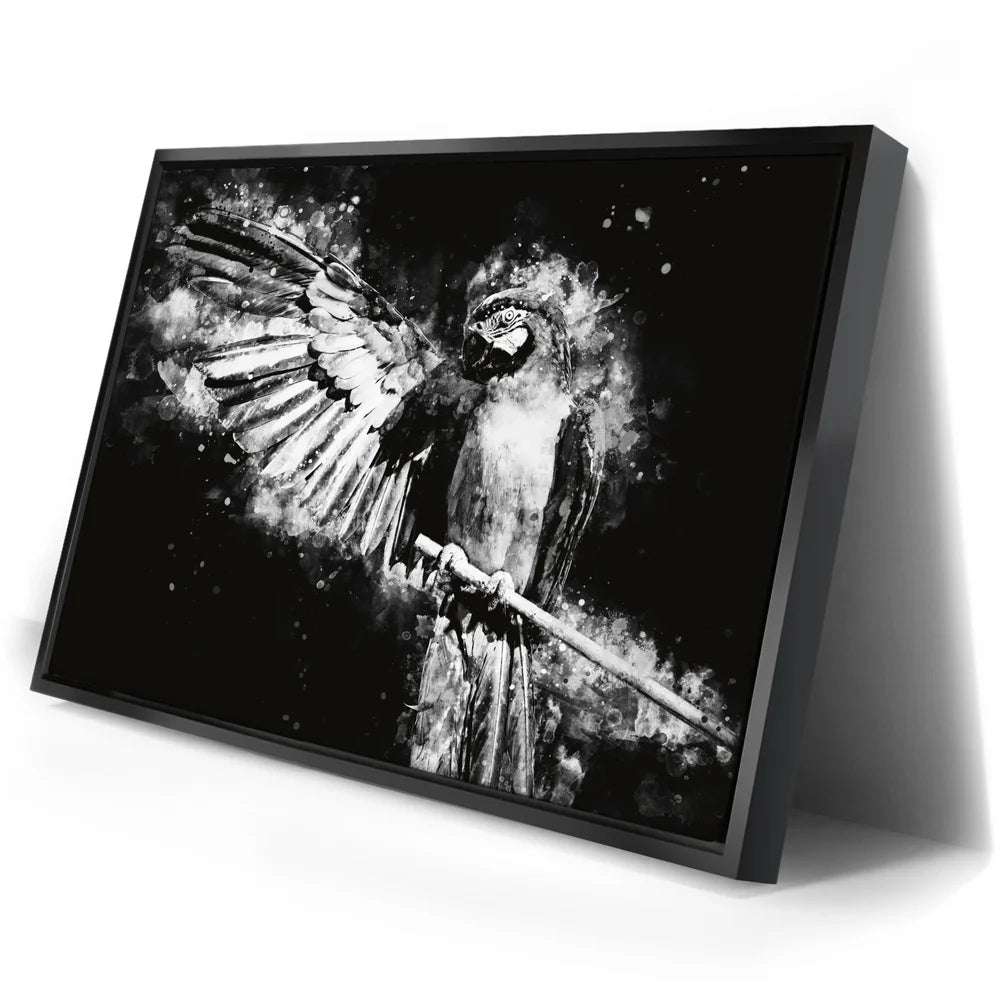 Featured image 2 for Macaw - Watercolor II - Black and White