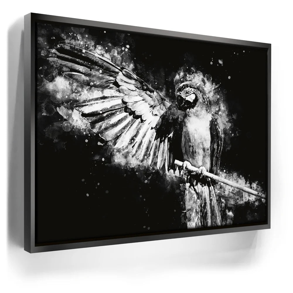 Featured image 5 for Macaw - Watercolor II - Black and White