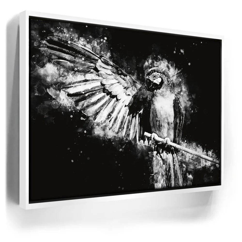 Featured image 6 for Macaw - Watercolor II - Black and White