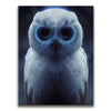 Featured image 1 for Magical Owl with Blue Eyes