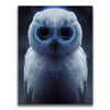 Featured image 1 for Magical Owl with Blue Eyes