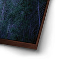 Thumbnail image 14 for Majestic Bridalveil Fall Yosemite