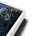 Thumbnail image 13 for Majestic Bridalveil Fall Yosemite
