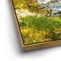 Thumbnail image 12 for Majestic Canopy