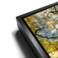 Thumbnail image 11 for Majestic Canopy
