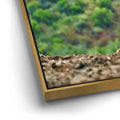 Thumbnail image 12 for Majestic Horse Hilltop